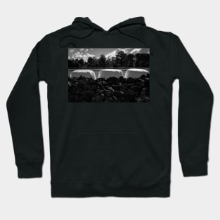 Dramatic clouds in the sky over the dark Swedish forest and the  white rolls with straw, Hoodie